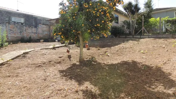 Terreno ZR3 para venda Portão Curitiba - foto 3