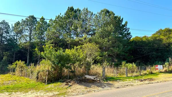 Terreno APA - Passaúna - foto 3