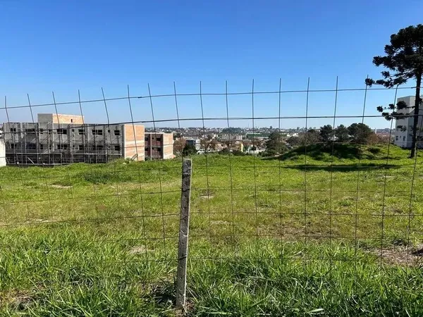 Area para Incorporaçao - 3.000m2 ou 6.000m² - Jardim Amelia - Pinhais - foto 2