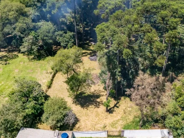 Terreno à venda, 2000 m² por R$ 2.199.000,00 - Umbará - Curitiba/PR - foto 5