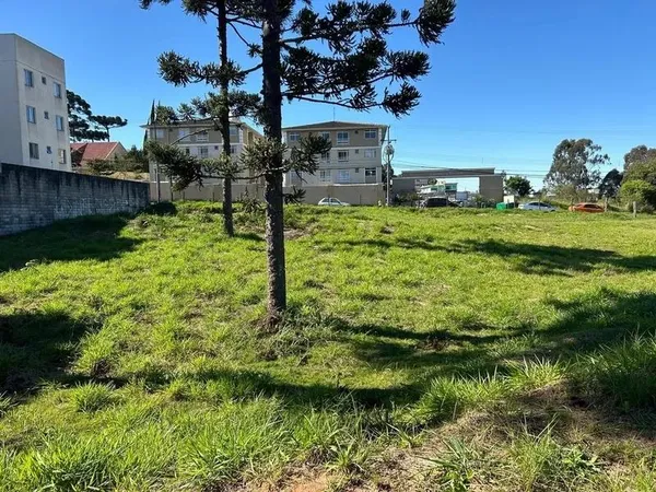 Area para Incorporaçao - 3.000m2 ou 6.000m² - Jardim Amelia - Pinhais - foto 4