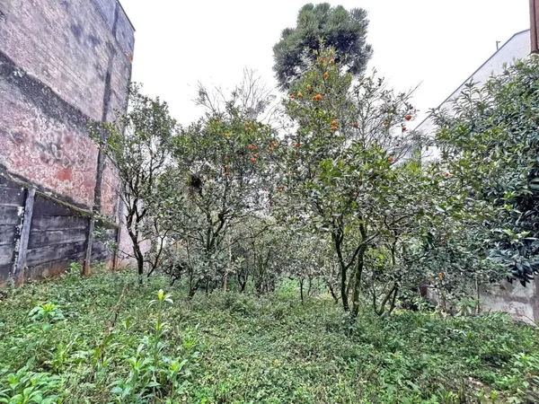 Terreno à venda, 486 m² por R$ 700.000,00 - Vista Alegre - Curitiba/PR - foto 4