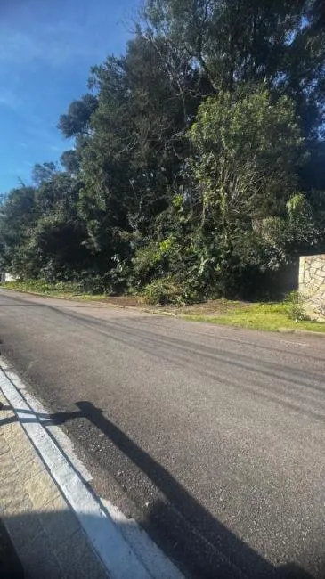 Terreno à venda, 3028 m² por R$ 2.300.000,00 - Santa Felicidade - Curitiba/PR - foto 3