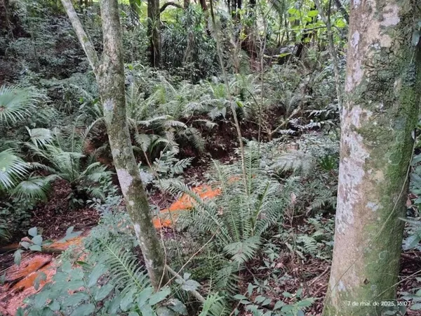 Terreno Residencial à venda, Santa Felicidade, Curitiba - TE0002. - foto 5